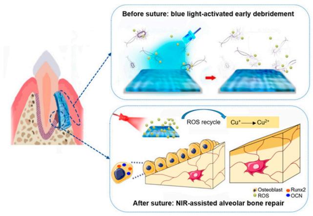 https://cdn.ncbi.nlm.nih.gov/pmc/blobs/d49d/7922637/dc8c6625bd34/polymers-13-00613-g005.jpg