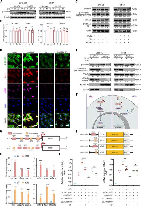 https://cdn.ncbi.nlm.nih.gov/pmc/blobs/d49e/12349883/c905cd6984bd/research.0828.fig.006.jpg