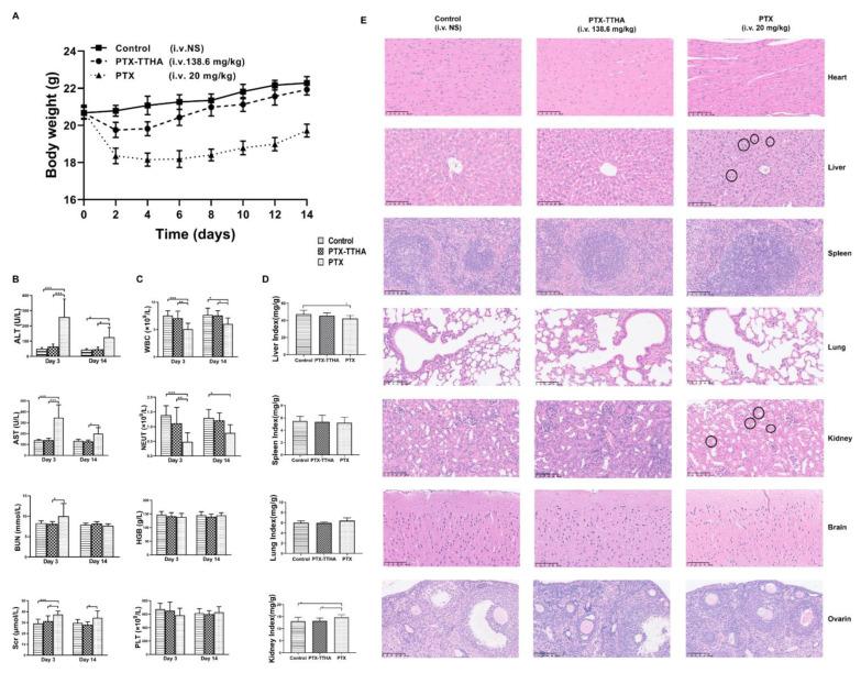 https://cdn.ncbi.nlm.nih.gov/pmc/blobs/d4a1/10180349/78e8ffcbb47a/molecules-28-03662-g007.jpg