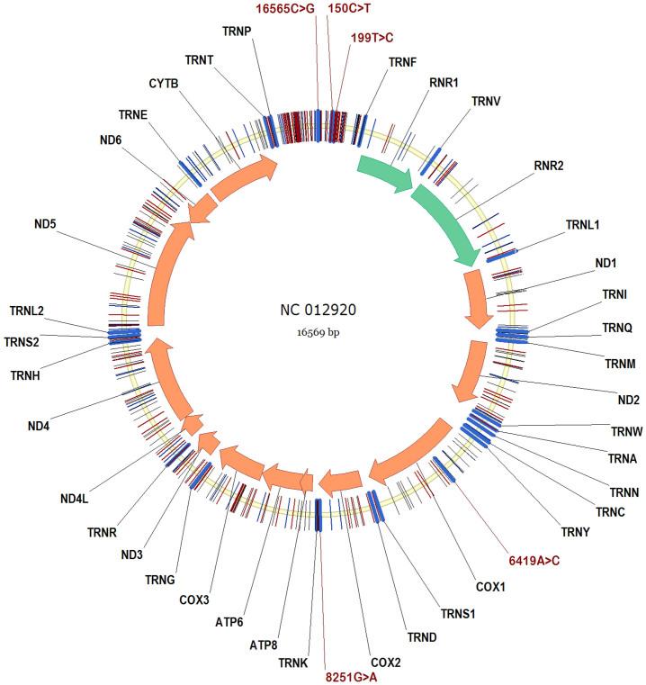 https://cdn.ncbi.nlm.nih.gov/pmc/blobs/d4a1/4260226/ba62e71b45ba/srep07379-f1.jpg
