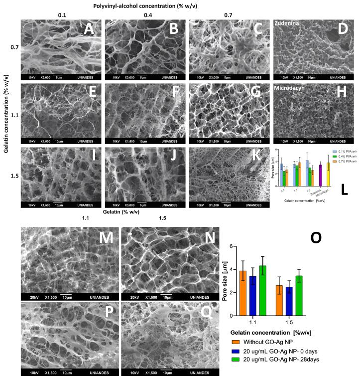 https://cdn.ncbi.nlm.nih.gov/pmc/blobs/d4a1/9280498/ea6bdd164e0e/gr1.jpg