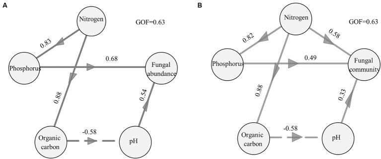 https://cdn.ncbi.nlm.nih.gov/pmc/blobs/d4a3/11169694/6977afea9f77/fmicb-15-1347704-g004.jpg