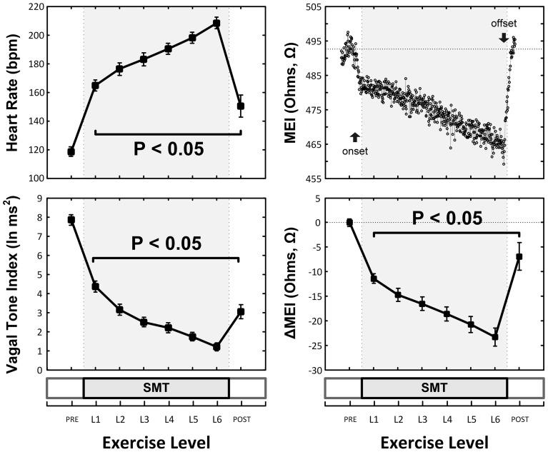 https://cdn.ncbi.nlm.nih.gov/pmc/blobs/d4a4/4318283/6c1334a24326/fphys-06-00025-g0002.jpg