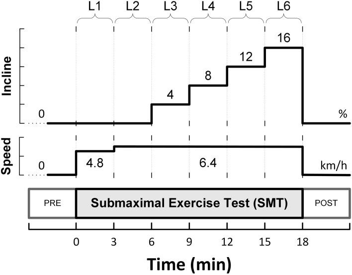 https://cdn.ncbi.nlm.nih.gov/pmc/blobs/d4a4/4318283/6cd8ee9b5e3b/fphys-06-00025-g0001.jpg