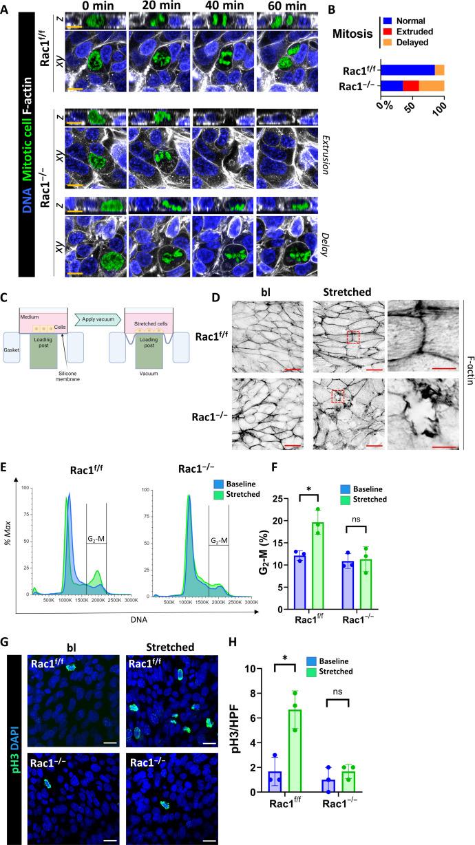 https://cdn.ncbi.nlm.nih.gov/pmc/blobs/d4a5/10849615/4290ae35f860/sciadv.adi7840-f4.jpg