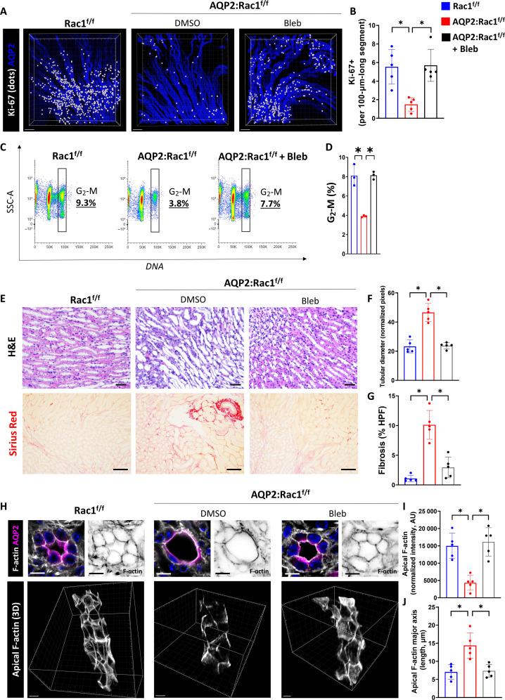 https://cdn.ncbi.nlm.nih.gov/pmc/blobs/d4a5/10849615/dc04619c73f0/sciadv.adi7840-f7.jpg