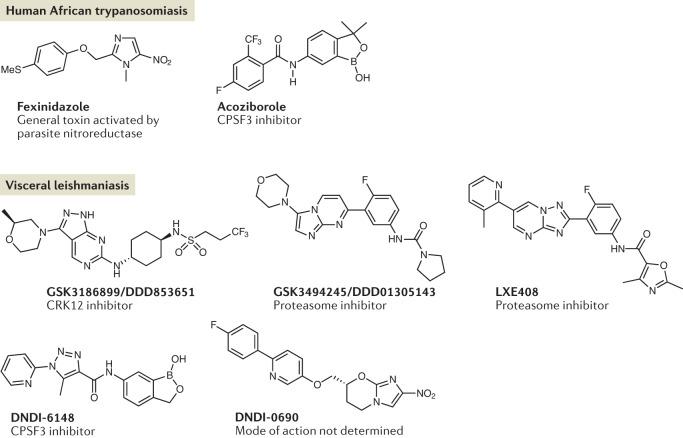 https://cdn.ncbi.nlm.nih.gov/pmc/blobs/d4a8/9395782/051c954ee78d/41579_2022_777_Fig3_HTML.jpg