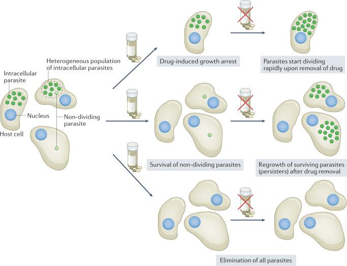https://cdn.ncbi.nlm.nih.gov/pmc/blobs/d4a8/9395782/14bd57b38275/41579_2022_777_Fig1_HTML.jpg