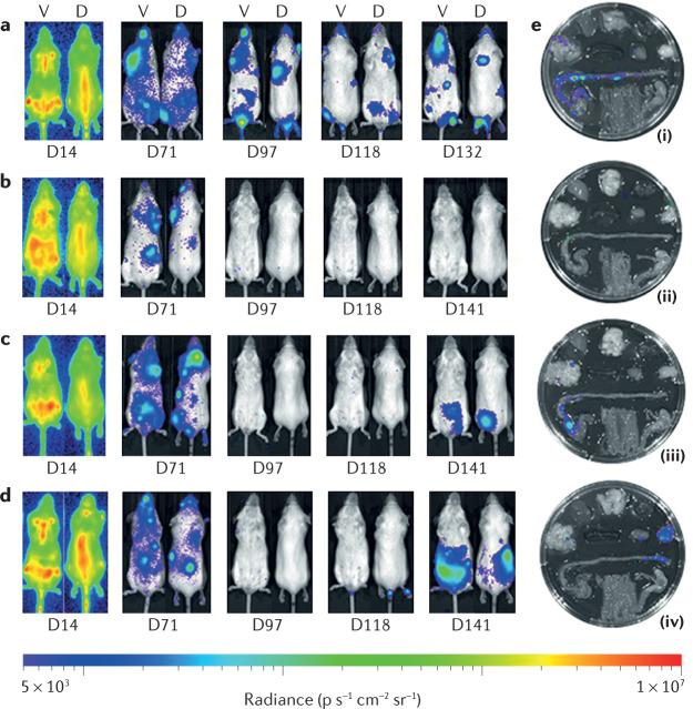 https://cdn.ncbi.nlm.nih.gov/pmc/blobs/d4a8/9395782/d47074e63206/41579_2022_777_Fig2_HTML.jpg