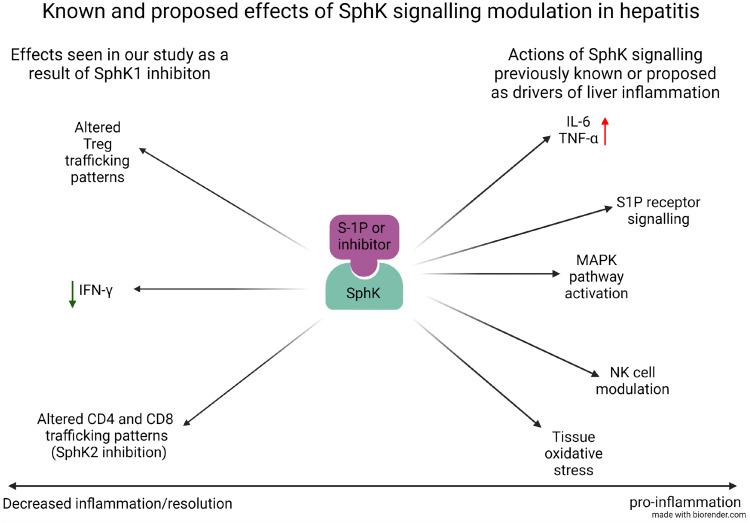 https://cdn.ncbi.nlm.nih.gov/pmc/blobs/d4af/8645305/6d3dd7874de5/10.1177_20587384211053274-fig4.jpg