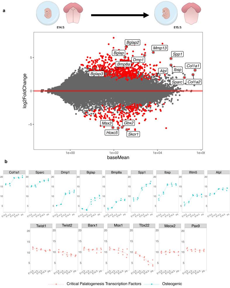 https://cdn.ncbi.nlm.nih.gov/pmc/blobs/d4b2/10502152/05b671494582/41467_2023_41349_Fig2_HTML.jpg