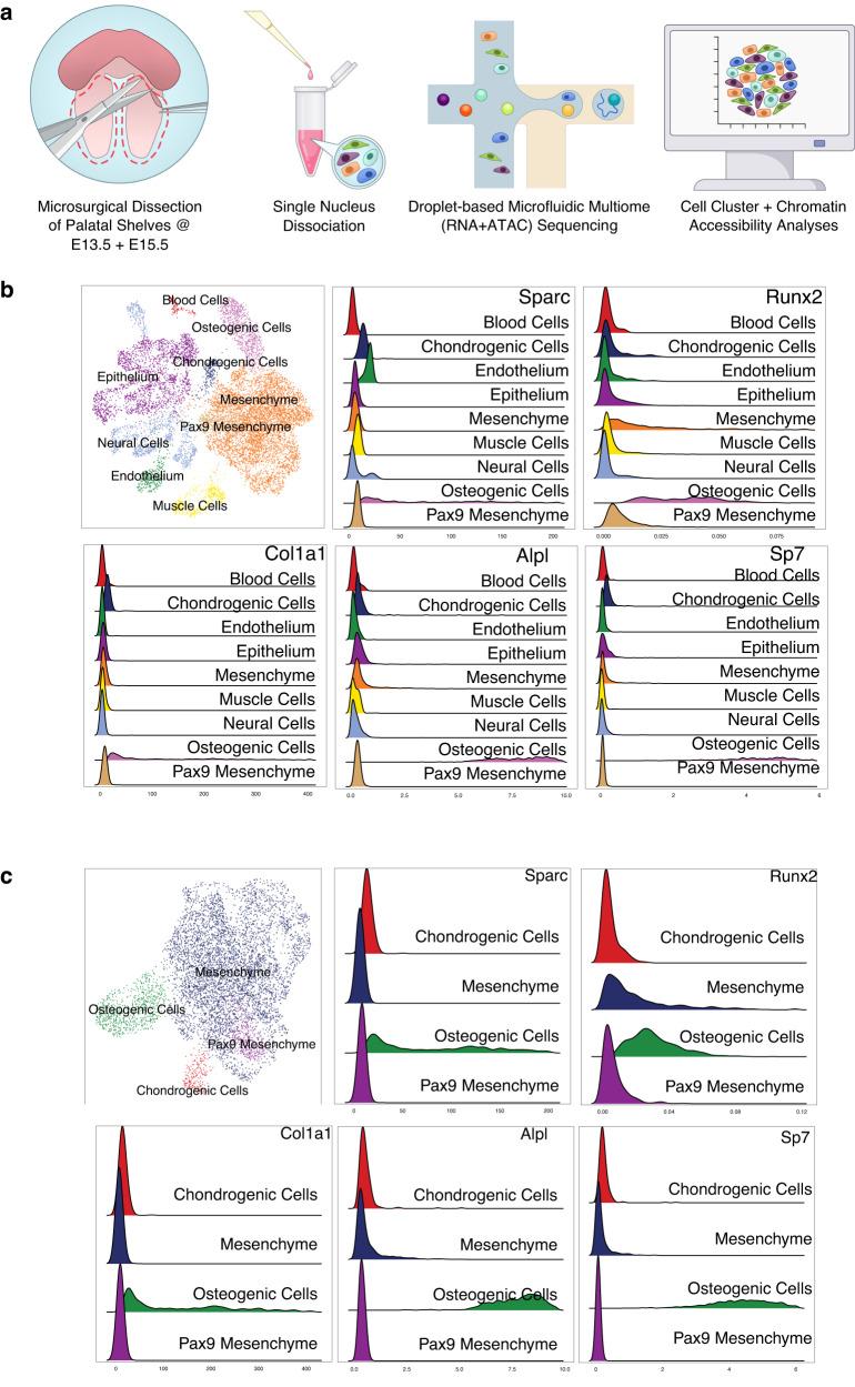 https://cdn.ncbi.nlm.nih.gov/pmc/blobs/d4b2/10502152/24c2051658b8/41467_2023_41349_Fig3_HTML.jpg