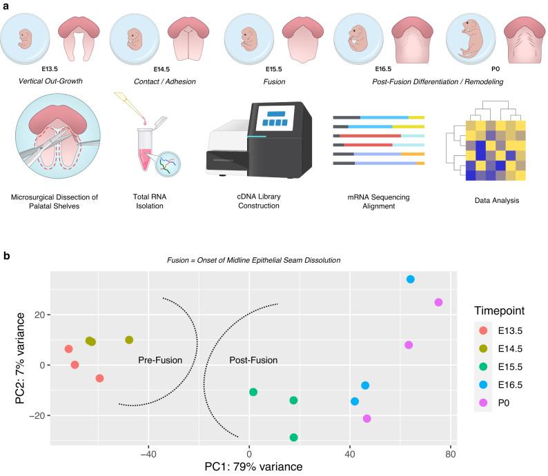 https://cdn.ncbi.nlm.nih.gov/pmc/blobs/d4b2/10502152/683854660c68/41467_2023_41349_Fig1_HTML.jpg