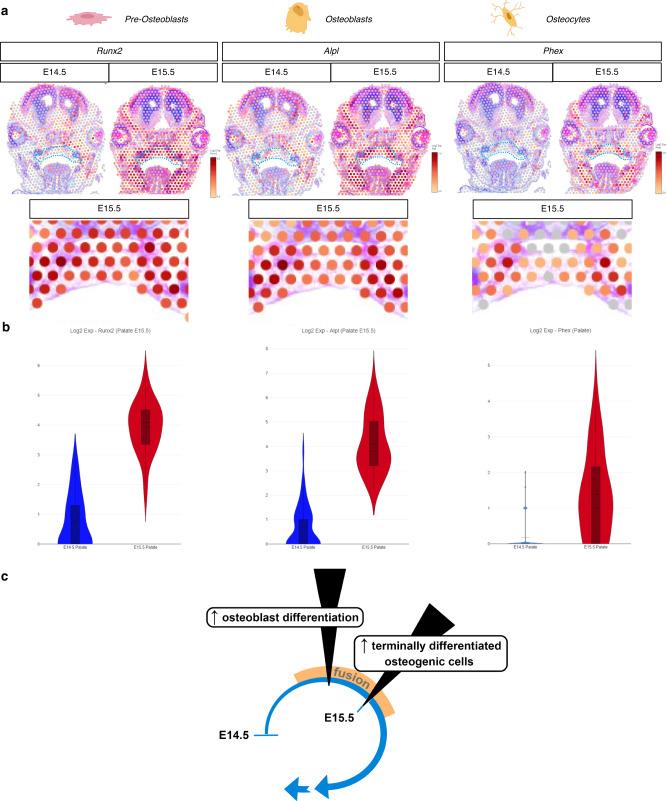 https://cdn.ncbi.nlm.nih.gov/pmc/blobs/d4b2/10502152/f0a3bdd4ce96/41467_2023_41349_Fig6_HTML.jpg
