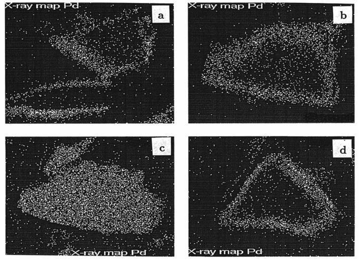 https://cdn.ncbi.nlm.nih.gov/pmc/blobs/d4b4/11477782/ba0f60f1021b/molecules-29-04623-g022.jpg