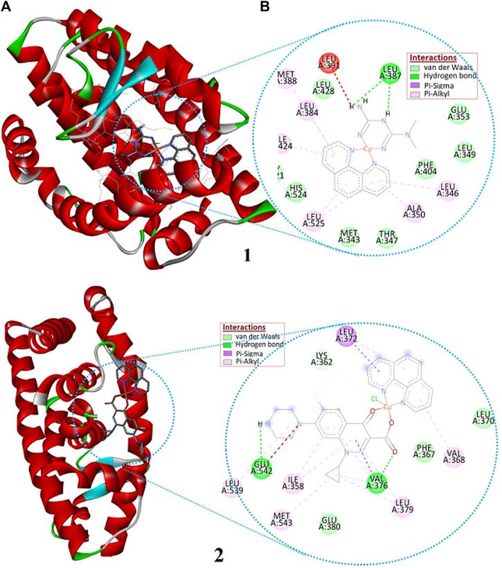 https://cdn.ncbi.nlm.nih.gov/pmc/blobs/d4b5/9557196/db12cdd44c76/fchem-10-1028957-g009.jpg