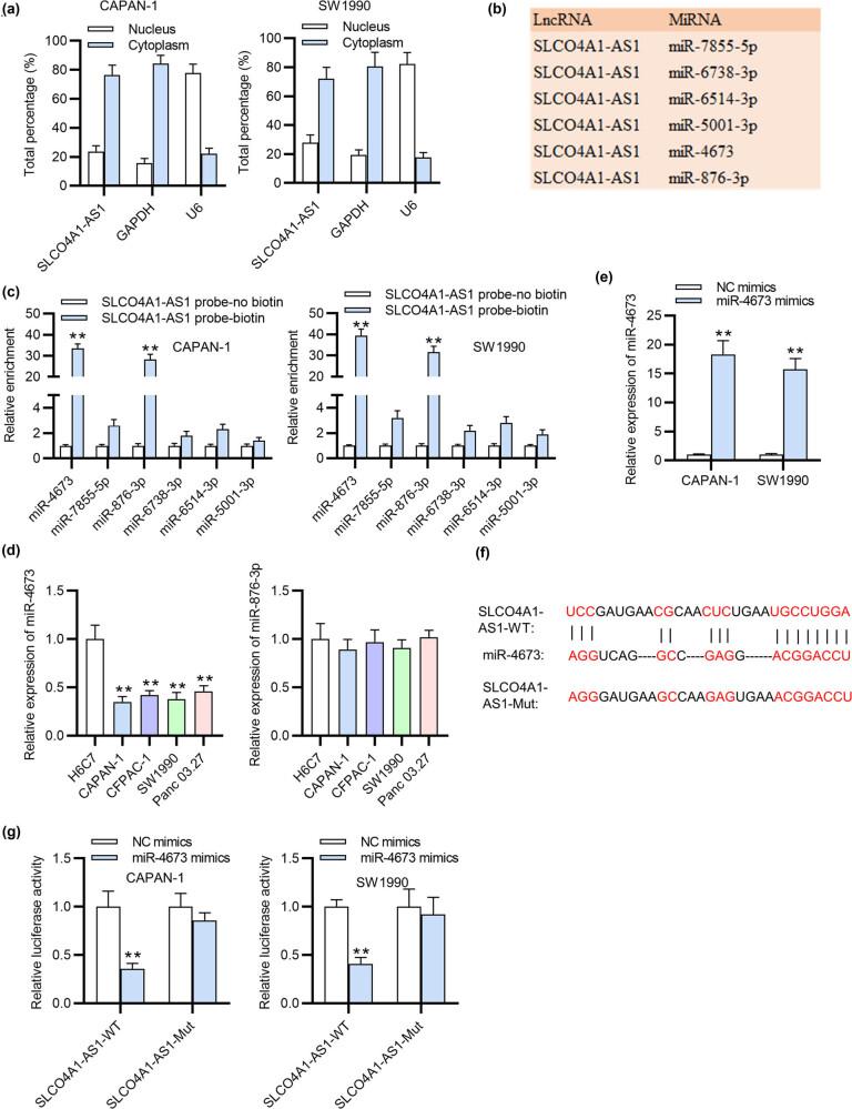 https://cdn.ncbi.nlm.nih.gov/pmc/blobs/d4b6/8847713/4fda37159ad9/j_med-2022-0418-fig002.jpg