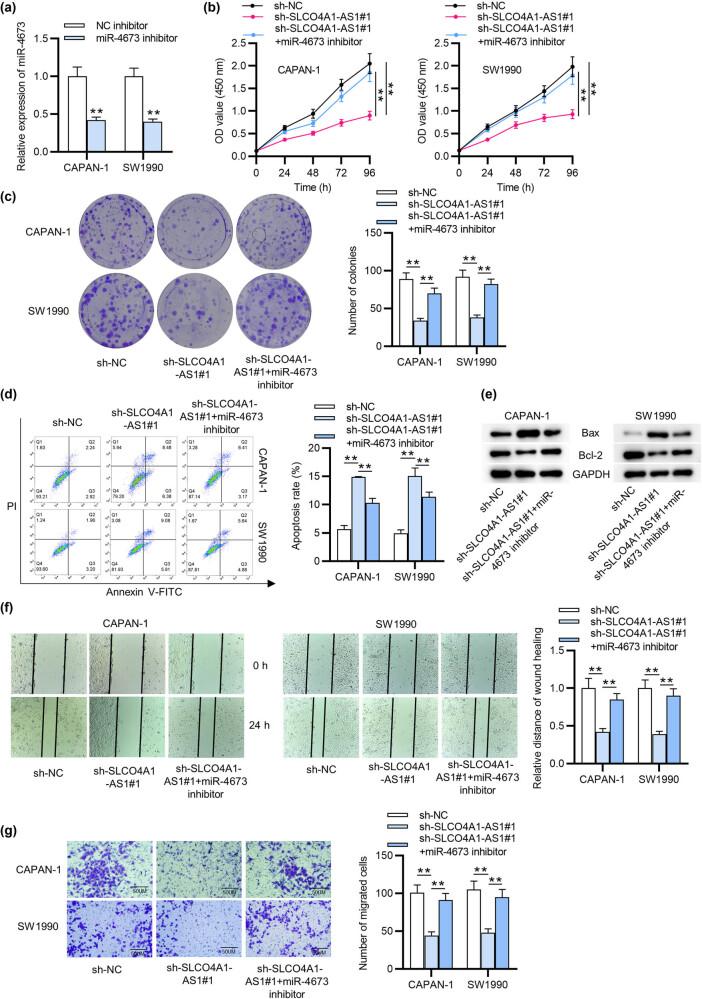https://cdn.ncbi.nlm.nih.gov/pmc/blobs/d4b6/8847713/71f3f65fcdca/j_med-2022-0418-fig003.jpg
