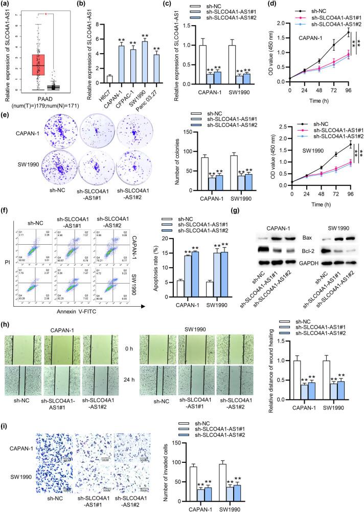 https://cdn.ncbi.nlm.nih.gov/pmc/blobs/d4b6/8847713/738d29b6454a/j_med-2022-0418-fig001.jpg