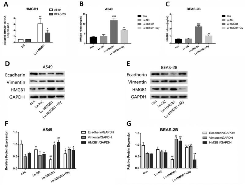 https://cdn.ncbi.nlm.nih.gov/pmc/blobs/d4b7/7003690/3f2220b300e9/peerj-08-8514-g003.jpg