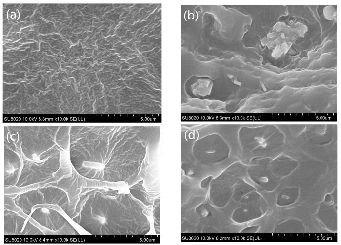 https://cdn.ncbi.nlm.nih.gov/pmc/blobs/d4b8/10674397/5d0dc20d9c64/polymers-15-04363-g004.jpg
