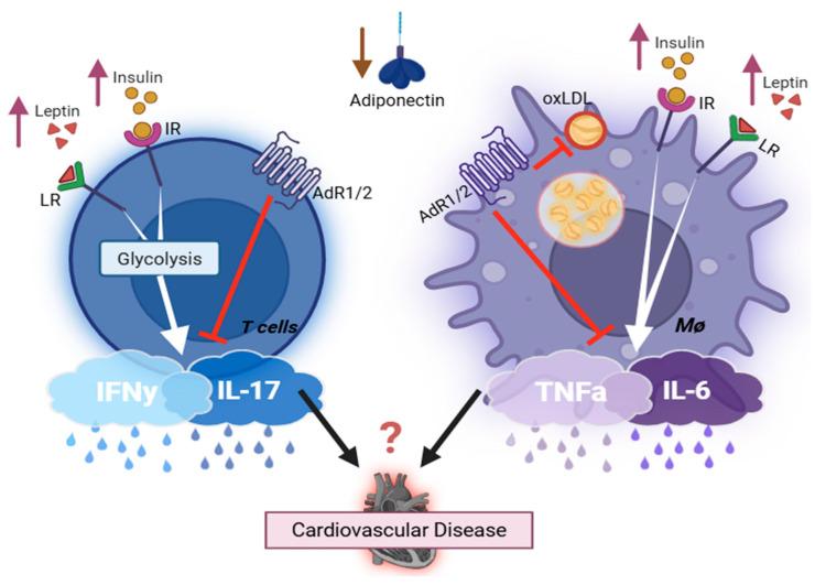 https://cdn.ncbi.nlm.nih.gov/pmc/blobs/d4b8/12387400/776a07002521/life-15-01241-g001.jpg