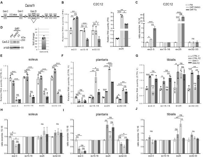 https://cdn.ncbi.nlm.nih.gov/pmc/blobs/d4ba/9643518/1bc2d6999761/41598_2022_23703_Fig3_HTML.jpg