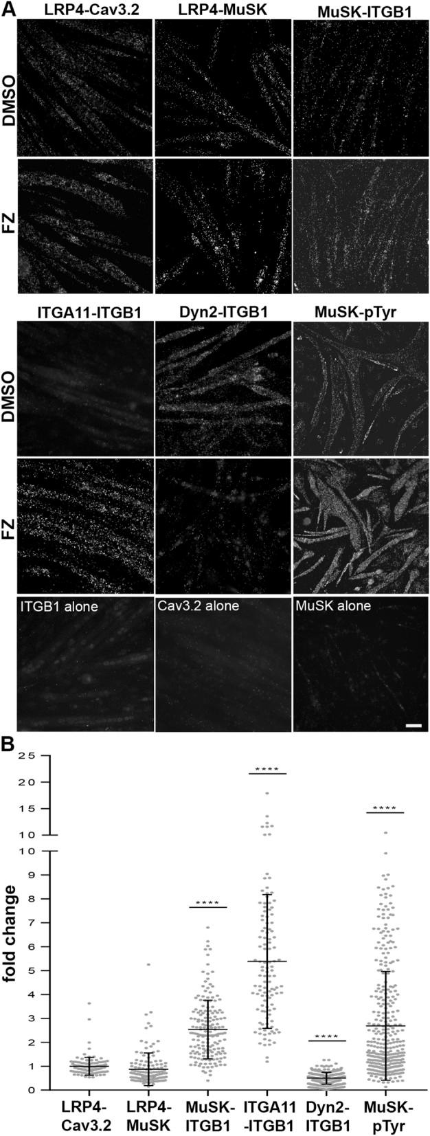 https://cdn.ncbi.nlm.nih.gov/pmc/blobs/d4ba/9643518/d00e301ef212/41598_2022_23703_Fig6_HTML.jpg