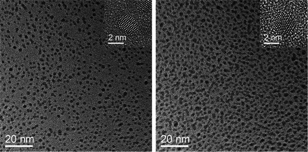 https://cdn.ncbi.nlm.nih.gov/pmc/blobs/d4bb/12202854/428aa9ff8d25/CHEM-31-e202501204-g013.jpg