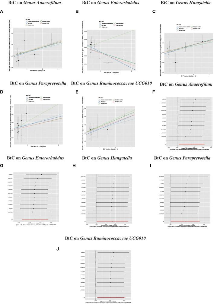 https://cdn.ncbi.nlm.nih.gov/pmc/blobs/d4bd/10978781/95fe98d9639f/fcimb-14-1308742-g004.jpg