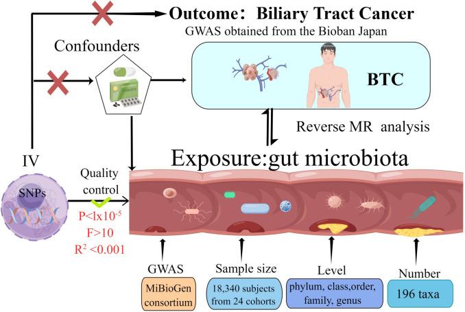 https://cdn.ncbi.nlm.nih.gov/pmc/blobs/d4bd/10978781/e05ae2c06565/fcimb-14-1308742-g001.jpg
