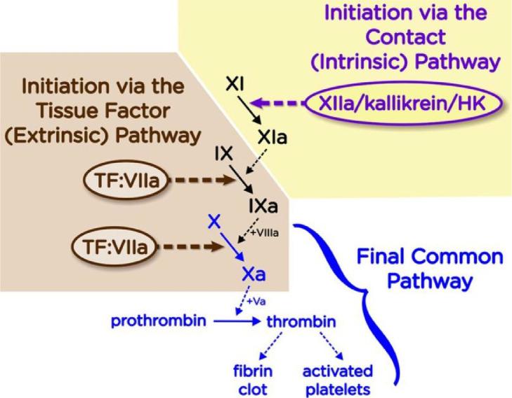 https://cdn.ncbi.nlm.nih.gov/pmc/blobs/d4bf/7486512/43507aa72a28/gr1.jpg