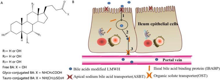 https://cdn.ncbi.nlm.nih.gov/pmc/blobs/d4bf/7486512/68840014d40b/gr5.jpg