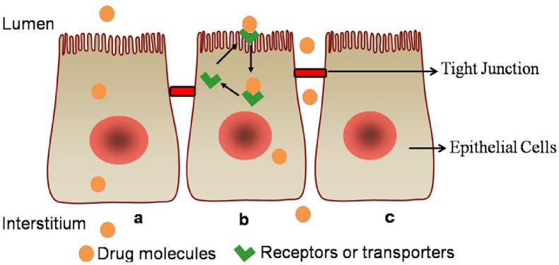 https://cdn.ncbi.nlm.nih.gov/pmc/blobs/d4bf/7486512/977af1080f7c/gr4.jpg