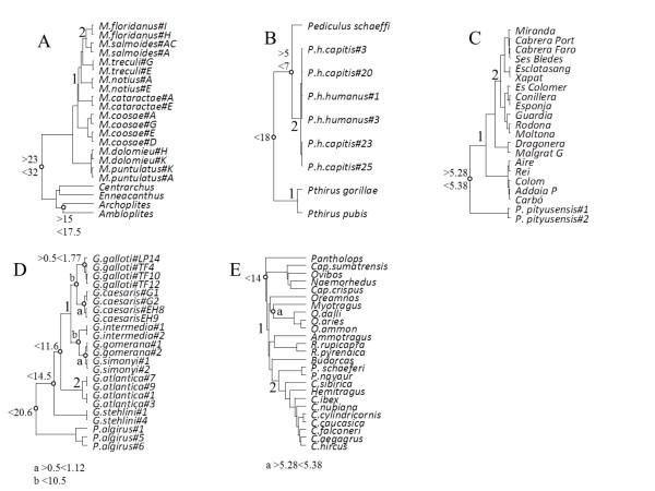 https://cdn.ncbi.nlm.nih.gov/pmc/blobs/d4c0/3205074/f95505769226/1471-2148-11-271-5.jpg