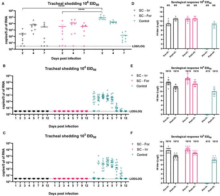 https://cdn.ncbi.nlm.nih.gov/pmc/blobs/d4c1/9309530/9251d7e1eda2/fvets-09-916108-g0002.jpg