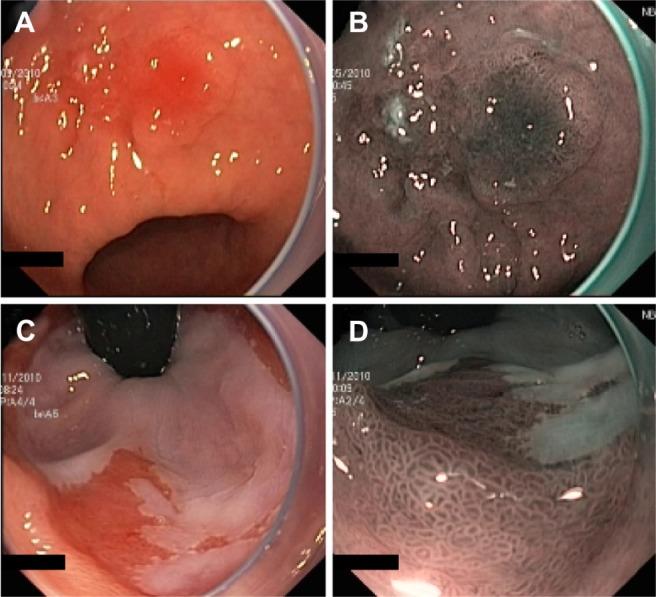 https://cdn.ncbi.nlm.nih.gov/pmc/blobs/d4c2/4028486/1a8eddba59ef/ceg-7-133Fig3.jpg