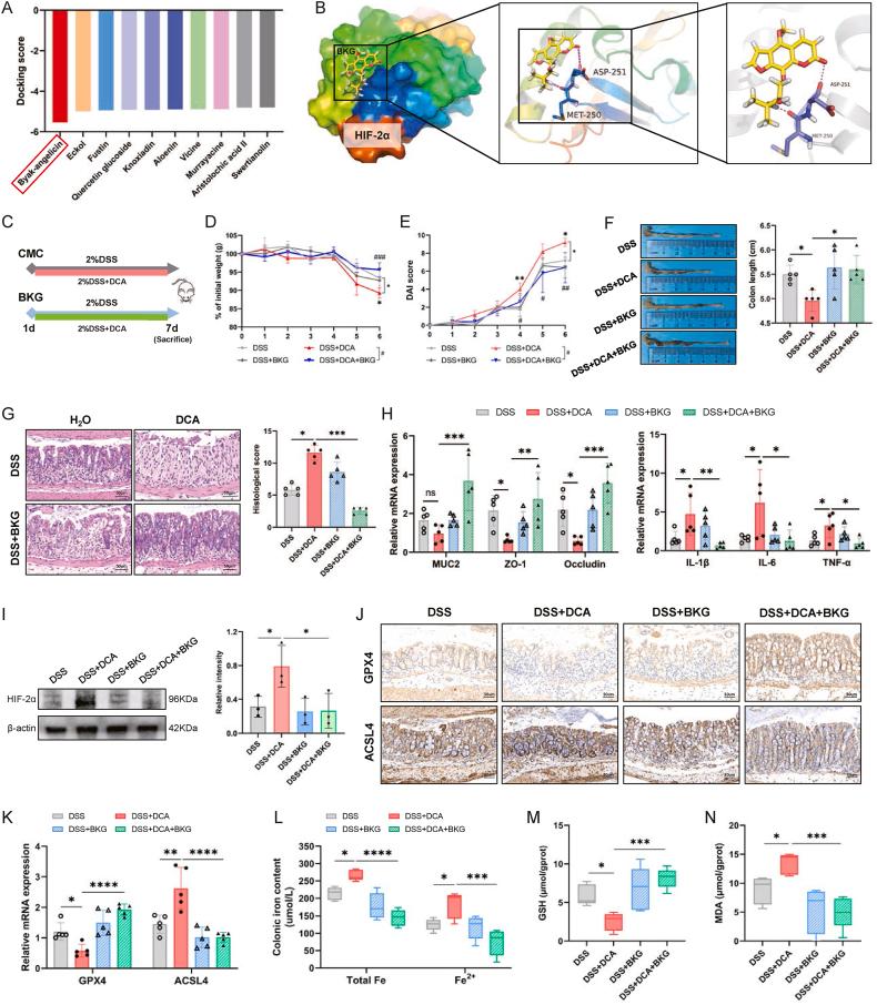 https://cdn.ncbi.nlm.nih.gov/pmc/blobs/d4c3/11070703/03168f5f7b61/gr6.jpg