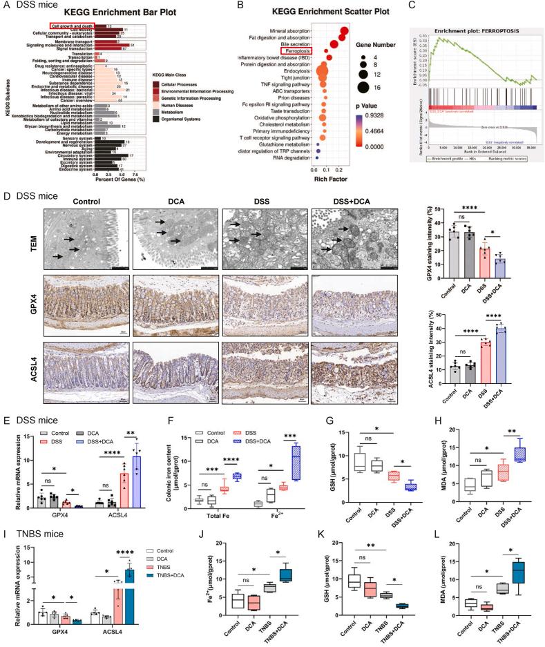 https://cdn.ncbi.nlm.nih.gov/pmc/blobs/d4c3/11070703/1bd7707645d8/gr2.jpg