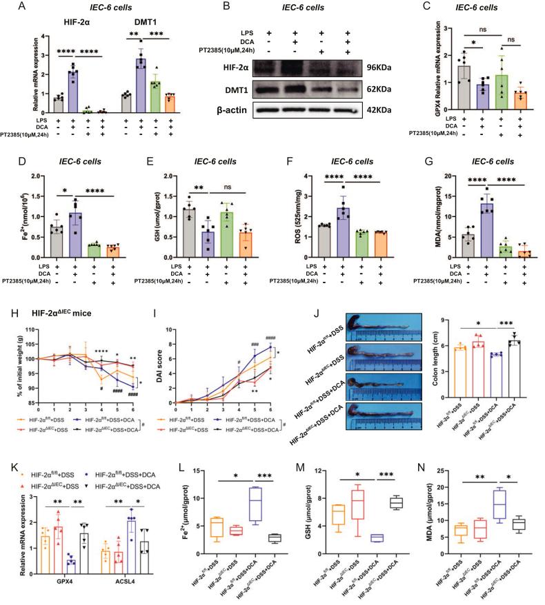 https://cdn.ncbi.nlm.nih.gov/pmc/blobs/d4c3/11070703/69a2f599d12b/gr5.jpg