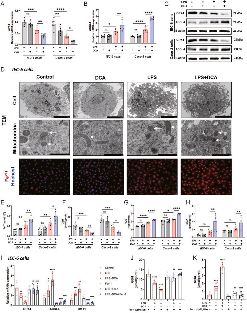 https://cdn.ncbi.nlm.nih.gov/pmc/blobs/d4c3/11070703/92650ec3fb42/gr3.jpg