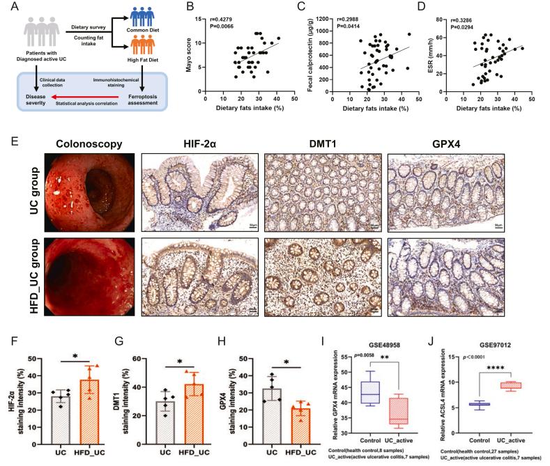 https://cdn.ncbi.nlm.nih.gov/pmc/blobs/d4c3/11070703/9e6e4afd2382/gr7.jpg