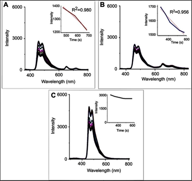 https://cdn.ncbi.nlm.nih.gov/pmc/blobs/d4c7/6720160/1d0ff4ea24ca/IJN-14-7065-g0008.jpg