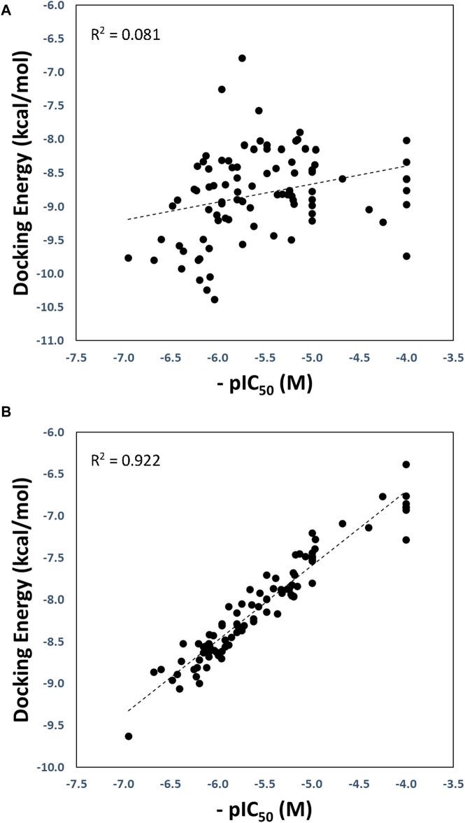 https://cdn.ncbi.nlm.nih.gov/pmc/blobs/d4c8/11004324/6922c24c6f37/fmolb-11-1374364-g003.jpg