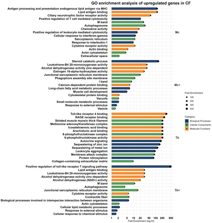 https://cdn.ncbi.nlm.nih.gov/pmc/blobs/d4c8/12428285/34869dc11bb3/ijms-26-08148-g004.jpg