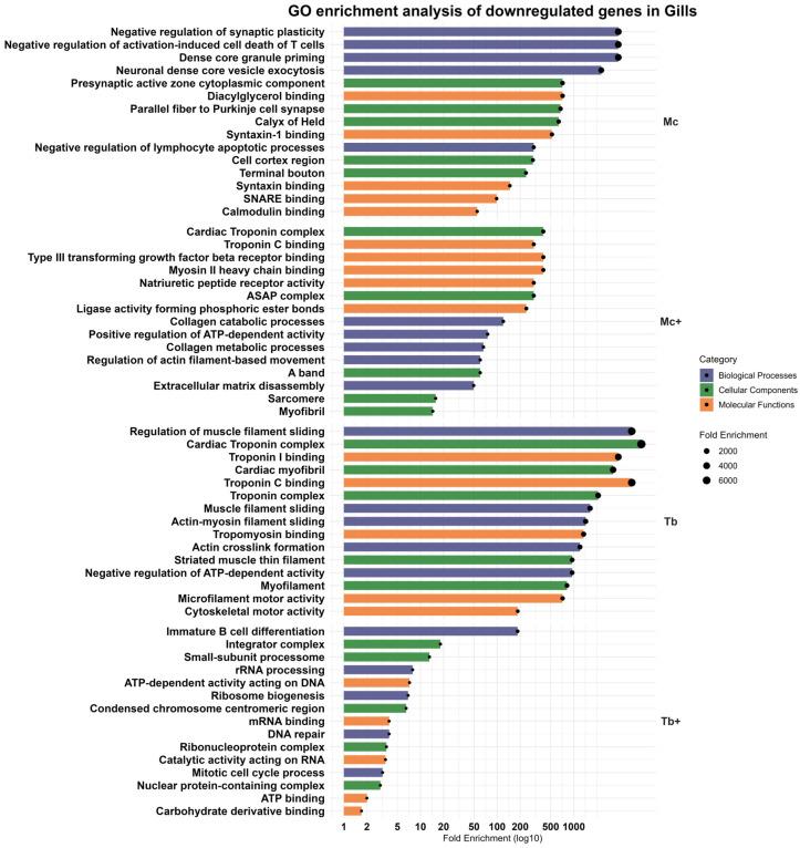 https://cdn.ncbi.nlm.nih.gov/pmc/blobs/d4c8/12428285/6ff02d480027/ijms-26-08148-g008.jpg