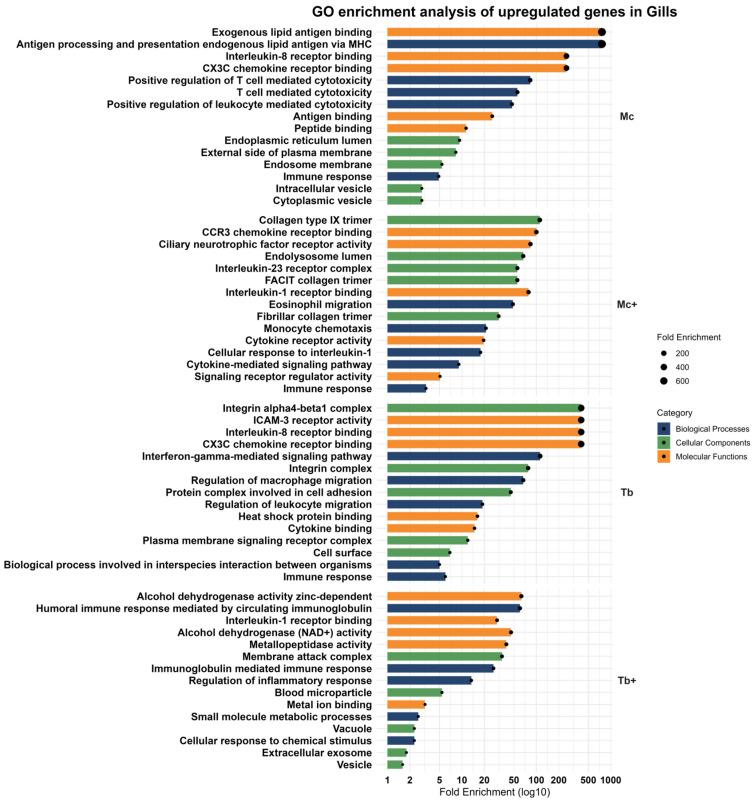 https://cdn.ncbi.nlm.nih.gov/pmc/blobs/d4c8/12428285/b662fced3815/ijms-26-08148-g007.jpg