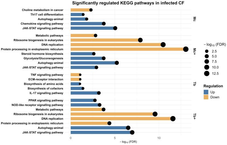 https://cdn.ncbi.nlm.nih.gov/pmc/blobs/d4c8/12428285/bff281f49252/ijms-26-08148-g006.jpg