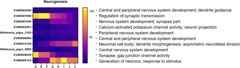 https://cdn.ncbi.nlm.nih.gov/pmc/blobs/d4c9/10111769/009e1471c91f/12864_2023_9286_Fig8_HTML.jpg