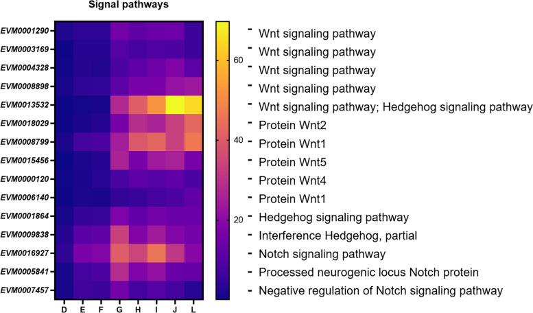 https://cdn.ncbi.nlm.nih.gov/pmc/blobs/d4c9/10111769/3e3083286d6f/12864_2023_9286_Fig6_HTML.jpg